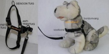 Combi tuig met hond 4