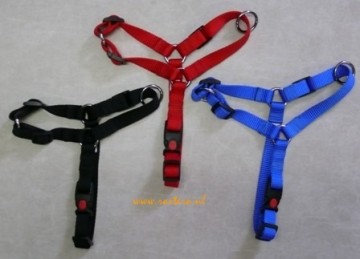 Kleuren rosteros tuig 1 4