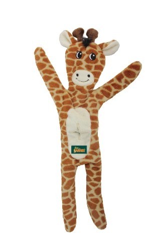 S166 afp giraffe